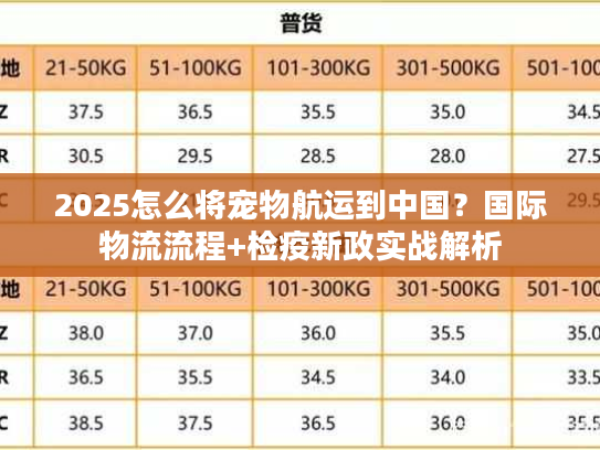 2025怎么将宠物航运到中国?国际物流流程+检疫新政实战解析 2025怎么将宠物航运到中国?国际物流流程+检疫新政实战解析