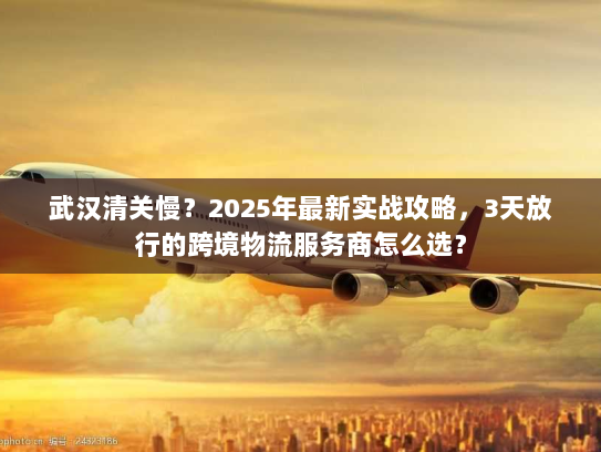 武汉清关慢？2025年最新实战攻略，3天放行的跨境物流服务商怎么选？