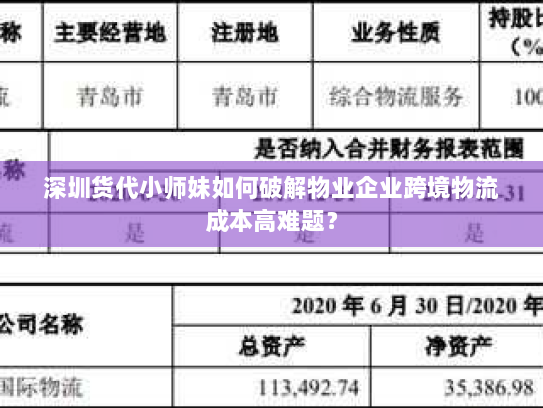 深圳货代小师妹如何破解物业企业跨境物流成本高难题？