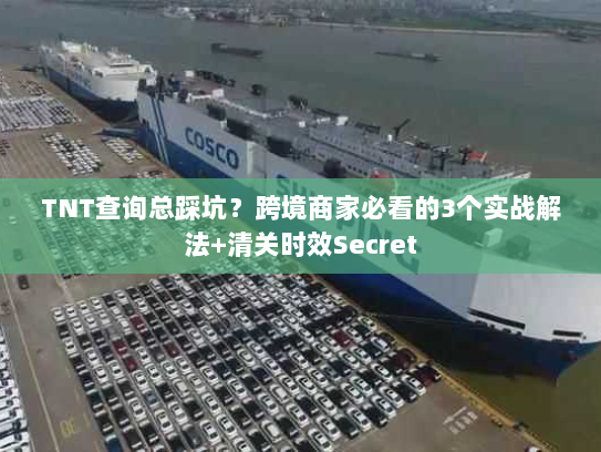 TNT查询总踩坑？跨境商家必看的3个实战解法+清关时效Secret