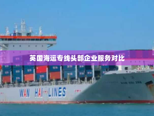 英国海运专线头部企业服务对比