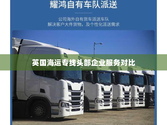 英国海运专线头部企业服务对比 英国海运专线头部企业服务对比