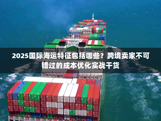 2025国际海运特征包括哪些？跨境卖家不可错过的成本优化实战干货