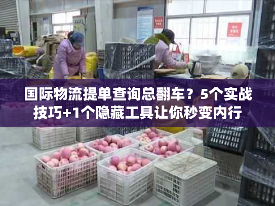 国际物流提单查询总翻车?5个实战技巧+1个隐藏工具让你秒变内行 国际物流提单查询总翻车?5个实战技巧+1个隐藏工具让你秒变内行