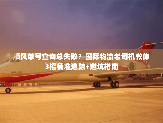 顺风单号查询总失败？国际物流老司机教你3招精准追踪+避坑指南