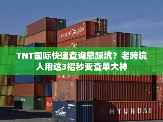 TNT国际快递查询总踩坑?老跨境人用这3招秒变查单大神 TNT国际快递查询总踩坑?老跨境人用这3招秒变查单大神