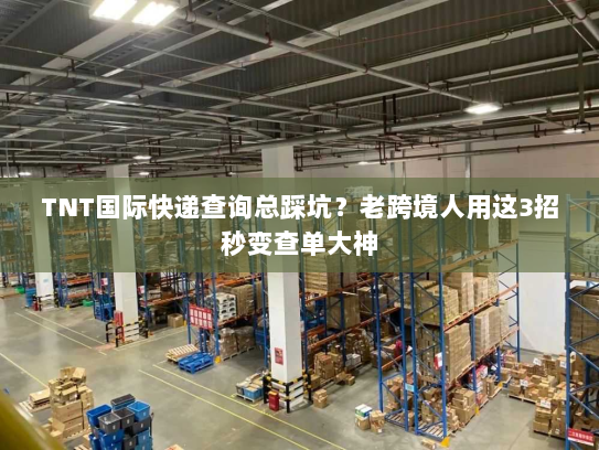TNT国际快递查询总踩坑?老跨境人用这3招秒变查单大神 TNT国际快递查询总踩坑?老跨境人用这3招秒变查单大神