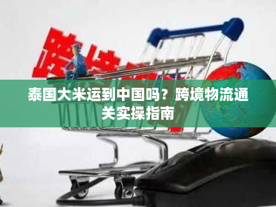 泰国大米运到中国吗？跨境物流通关实操指南