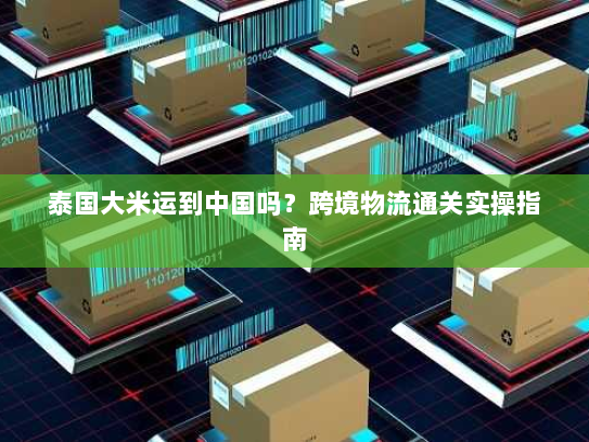 泰国大米运到中国吗?跨境物流通关实操指南 泰国大米运到中国吗?跨境物流通关实操指南