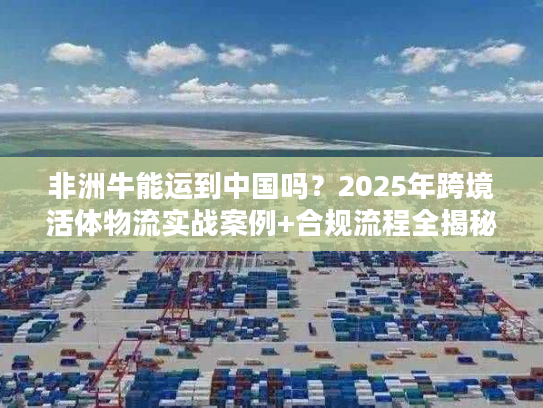 非洲牛能运到中国吗?2025年跨境活体物流实战案例+合规流程全揭秘 非洲牛能运到中国吗?2025年跨境活体物流实战案例+合规流程全揭秘