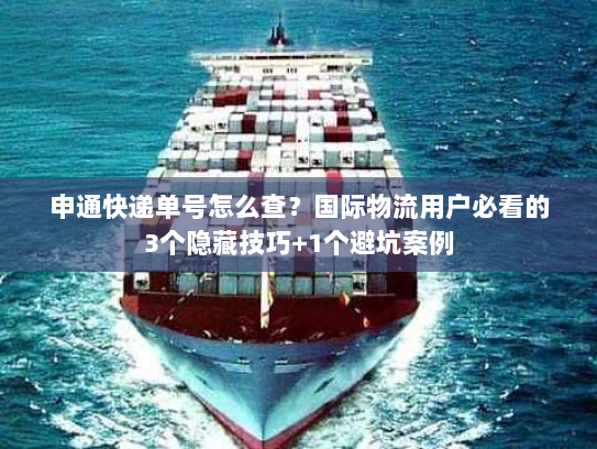 申通快递单号怎么查?国际物流用户必看的3个隐藏技巧+1个避坑案例 申通快递单号怎么查?国际物流用户必看的3个隐藏技巧+1个避坑案例