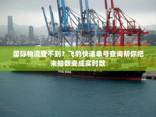 国际物流查不到?飞豹快递单号查询帮你把未知数变成实时数 国际物流查不到?飞豹快递单号查询帮你把未知数变成实时数