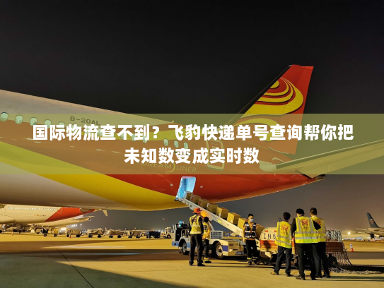 国际物流查不到？飞豹快递单号查询帮你把未知数变成实时数
