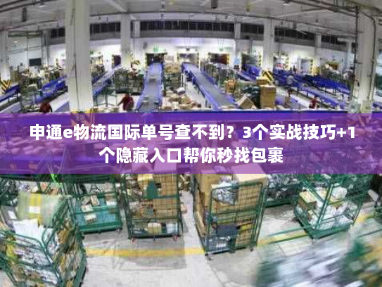 申通e物流国际单号查不到?3个实战技巧+1个隐藏入口帮你秒找包裹 申通e物流国际单号查不到?3个实战技巧+1个隐藏入口帮你秒找包裹