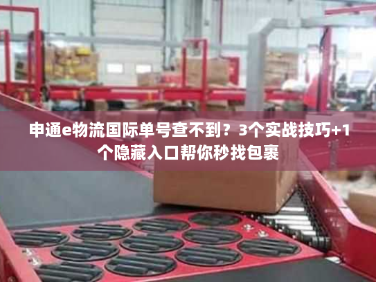 申通e物流国际单号查不到？3个实战技巧+1个隐藏入口帮你秒找包裹