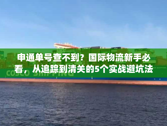 申通单号查不到？国际物流新手必看，从追踪到清关的5个实战避坑法