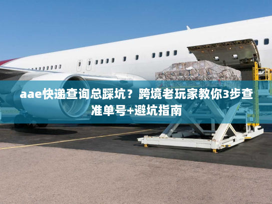 aae快递查询总踩坑？跨境老玩家教你3步查准单号+避坑指南