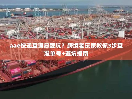aae快递查询总踩坑？跨境老玩家教你3步查准单号+避坑指南