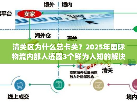 清关区为什么总卡关？2025年国际物流内部人透露3个鲜为人知的解决办法