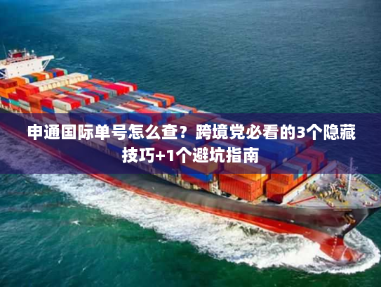 申通国际单号怎么查?跨境党必看的3个隐藏技巧+1个避坑指南 申通国际单号怎么查?跨境党必看的3个隐藏技巧+1个避坑指南