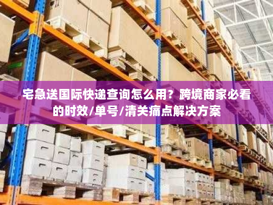 宅急送国际快递查询怎么用？跨境商家必看的时效/单号/清关痛点解决方案
