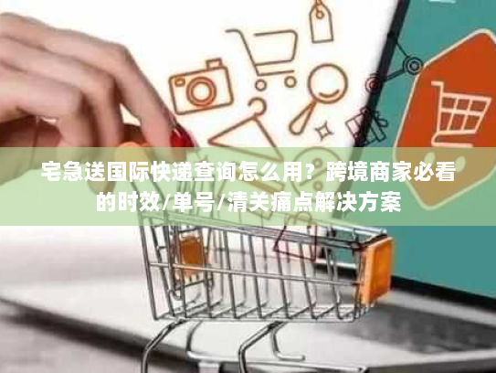 宅急送国际快递查询怎么用？跨境商家必看的时效/单号/清关痛点解决方案