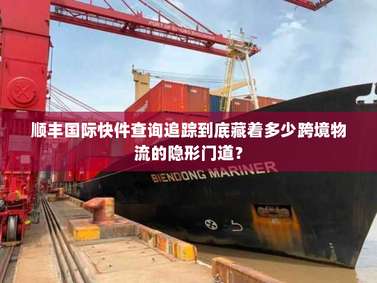 顺丰国际快件查询追踪到底藏着多少跨境物流的隐形门道？