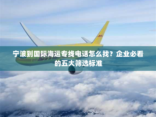 宁波到国际海运专线电话怎么找?企业必看的五大筛选标准 宁波到国际海运专线电话怎么找?企业必看的五大筛选标准