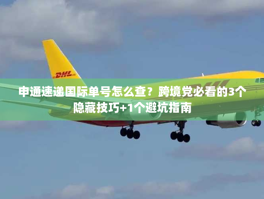 申通速递国际单号怎么查?跨境党必看的3个隐藏技巧+1个避坑指南 申通速递国际单号怎么查?跨境党必看的3个隐藏技巧+1个避坑指南