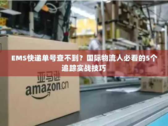 EMS快递单号查不到?国际物流人必看的5个追踪实战技巧 EMS快递单号查不到?国际物流人必看的5个追踪实战技巧