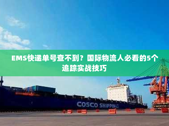 EMS快递单号查不到?国际物流人必看的5个追踪实战技巧 EMS快递单号查不到?国际物流人必看的5个追踪实战技巧