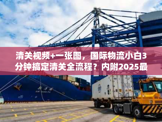 清关视频+一张图，国际物流小白3分钟搞定清关全流程？内附2025最新避坑指南