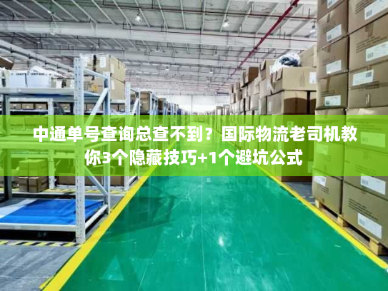 中通单号查询总查不到?国际物流老司机教你3个隐藏技巧+1个避坑公式 中通单号查询总查不到?国际物流老司机教你3个隐藏技巧+1个避坑公式