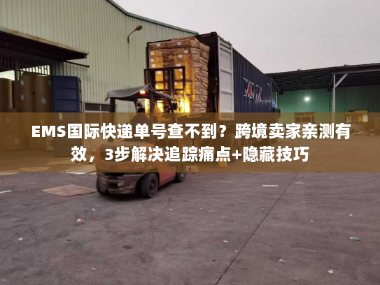 EMS国际快递单号查不到？跨境卖家亲测有效，3步解决追踪痛点+隐藏技巧