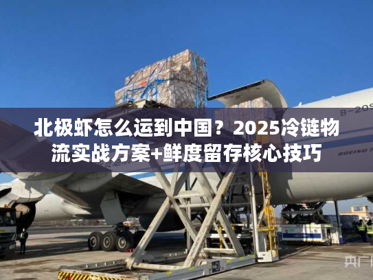 北极虾怎么运到中国？2025冷链物流实战方案+鲜度留存核心技巧
