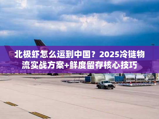 北极虾怎么运到中国？2025冷链物流实战方案+鲜度留存核心技巧
