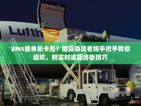 EMS查单总卡壳？国际物流老炮手把手教你避坑，附实时追踪终极技巧
