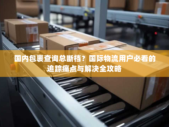 国内包裹查询总断档?国际物流用户必看的追踪痛点与解决全攻略 国内包裹查询总断档?国际物流用户必看的追踪痛点与解决全攻略