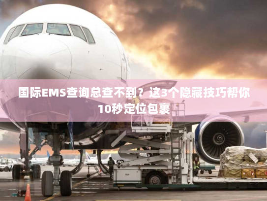 国际EMS查询总查不到？这3个隐藏技巧帮你10秒定位包裹