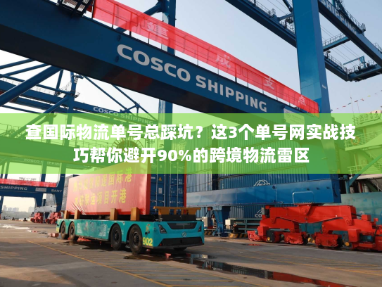 查国际物流单号总踩坑？这3个单号网实战技巧帮你避开90%的跨境物流雷区