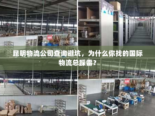 昆明物流公司查询避坑，为什么你找的国际物流总踩雷？