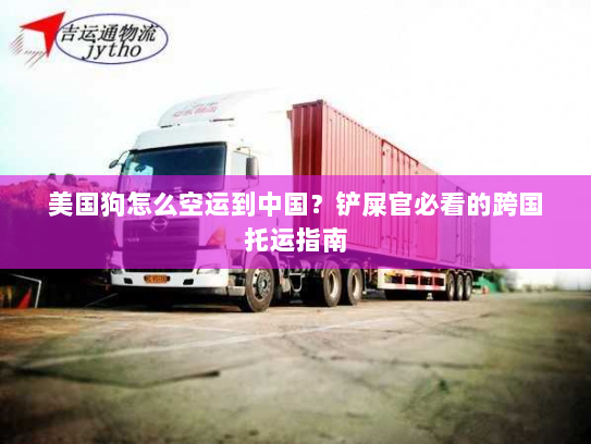 美国狗怎么空运到中国?铲屎官必看的跨国托运指南 美国狗怎么空运到中国?铲屎官必看的跨国托运指南