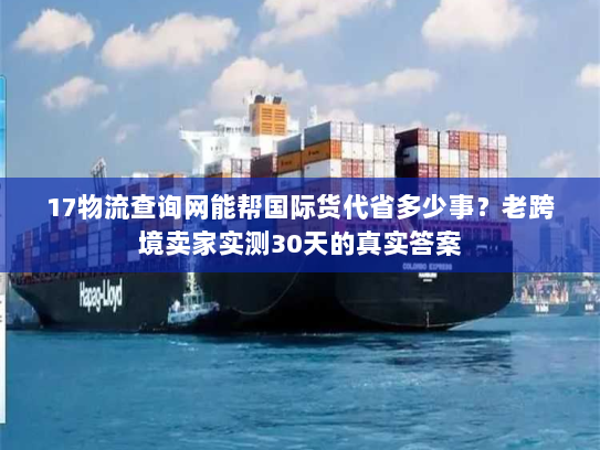 17物流查询网能帮国际货代省多少事？老跨境卖家实测30天的真实答案
