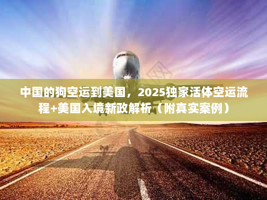 中国的狗空运到美国,2025独家活体空运流程+美国入境新政解析(附真实案例) 中国的狗空运到美国,2025独家活体空运流程+美国入境新政解析(附真实案例)