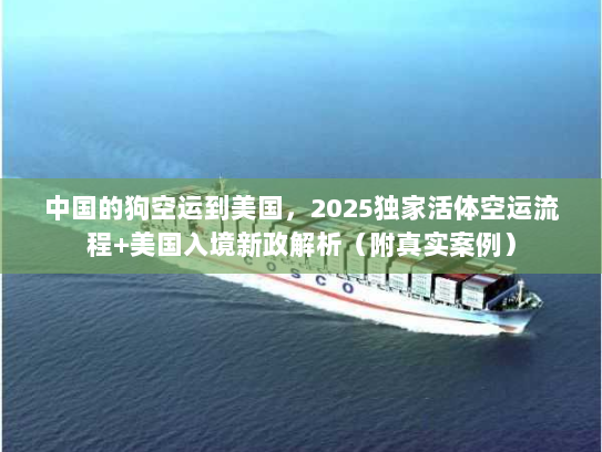 中国的狗空运到美国，2025独家活体空运流程+美国入境新政解析（附真实案例）