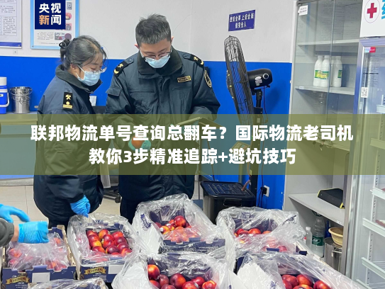 联邦物流单号查询总翻车？国际物流老司机教你3步精准追踪+避坑技巧