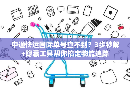 中通快运国际单号查不到？3步秒解+隐藏工具帮你搞定物流追踪