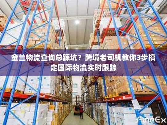金兰物流查询总踩坑?跨境老司机教你3步搞定国际物流实时跟踪 金兰物流查询总踩坑?跨境老司机教你3步搞定国际物流实时跟踪