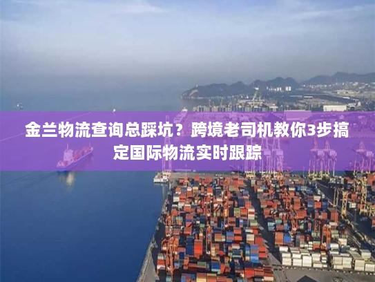 金兰物流查询总踩坑?跨境老司机教你3步搞定国际物流实时跟踪 金兰物流查询总踩坑?跨境老司机教你3步搞定国际物流实时跟踪
