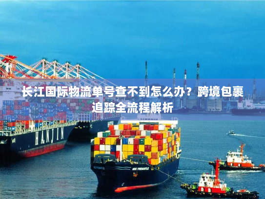 长江国际物流单号查不到怎么办？跨境包裹追踪全流程解析